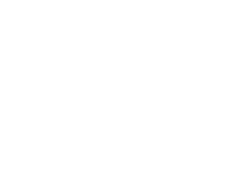 Little village white 348x261